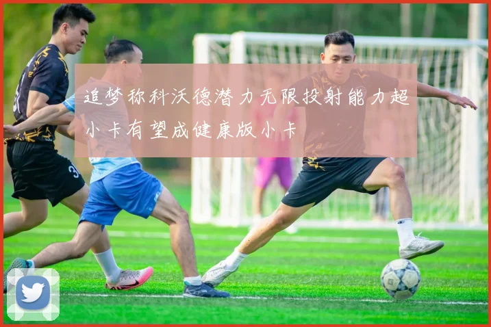 追梦称科沃德潜力无限投射能力超小卡有望成健康版小卡