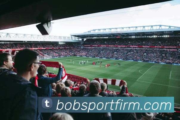 BOB体育APP 封面图